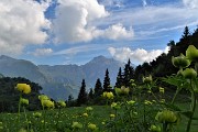 23 Botton d'oro con vista in Tre Signori